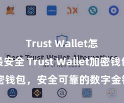 Trust Wallet怎么下载最安全 Trust Wallet加密钱包，安全可靠的数字金钱惩处器用