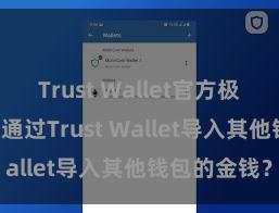 Trust Wallet官方极速下载 怎么通过Trust Wallet导入其他钱包的金钱？