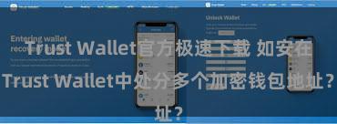 Trust Wallet官方极速下载 如安在Trust Wallet中处分多个加密钱包地址？