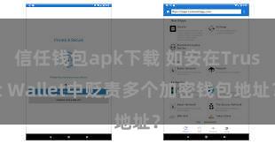 信任钱包apk下载 如安在Trust Wallet中贬责多个加密钱包地址？